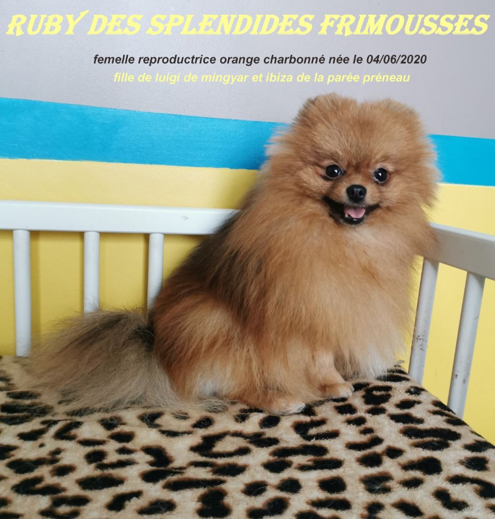 Ruby Des Splendides Frimousses